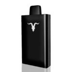 Pod Ignite 8.000 Puffs